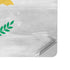Cyprus Flag Distressed Surface Laptop Studio Skin